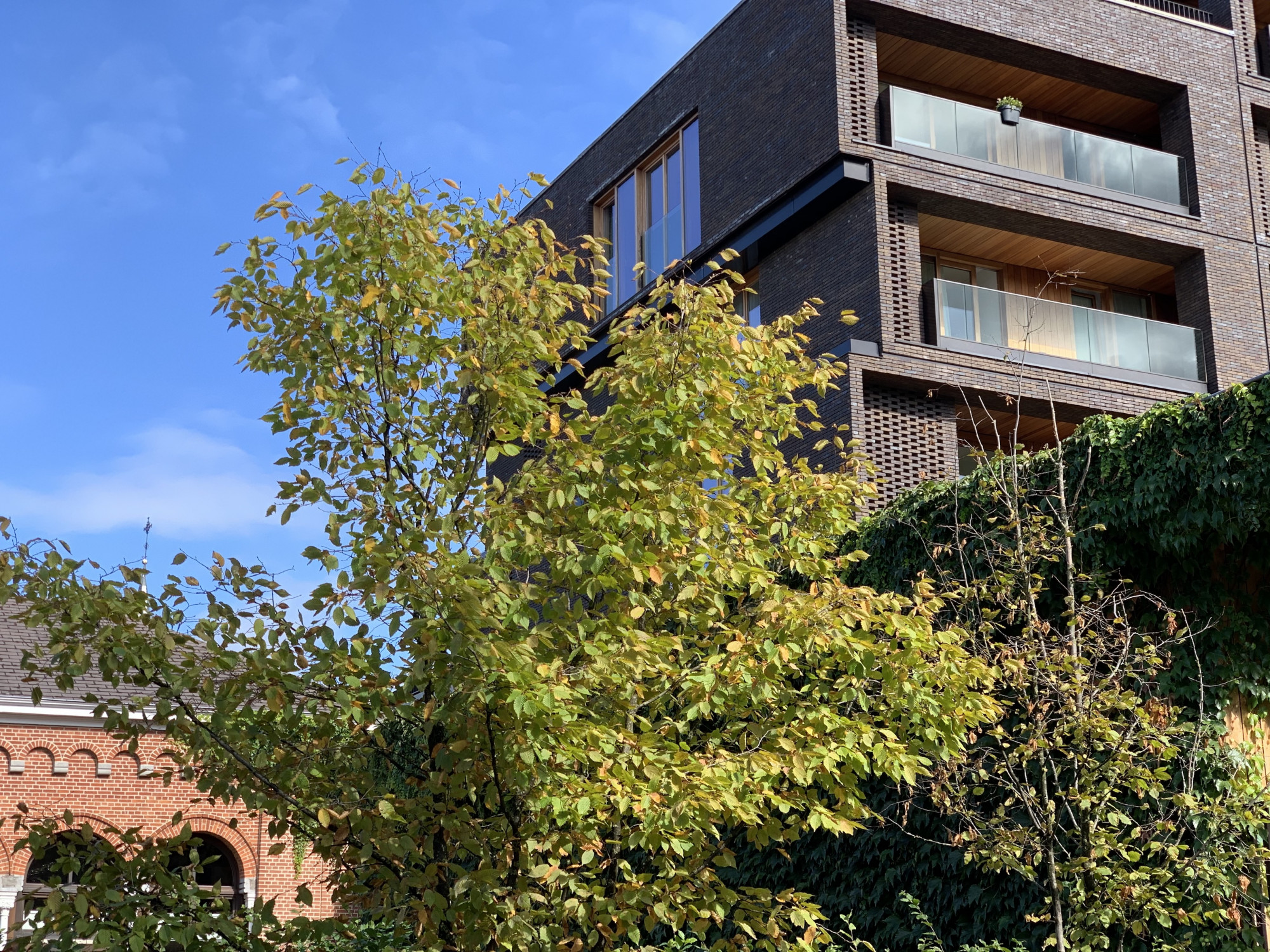 Het Clarissenklooster, herbestemd tot een woonzorgcentrum en assistentiewoningen