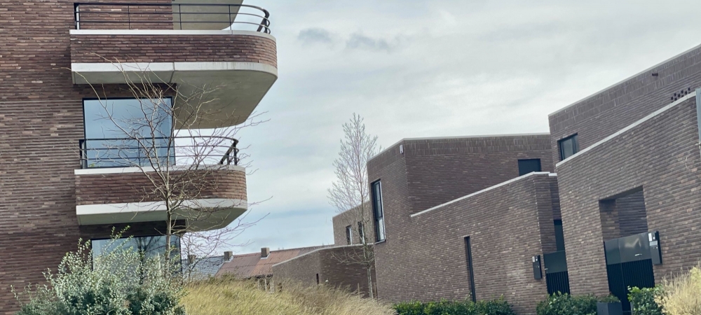 oHase - Hasselt